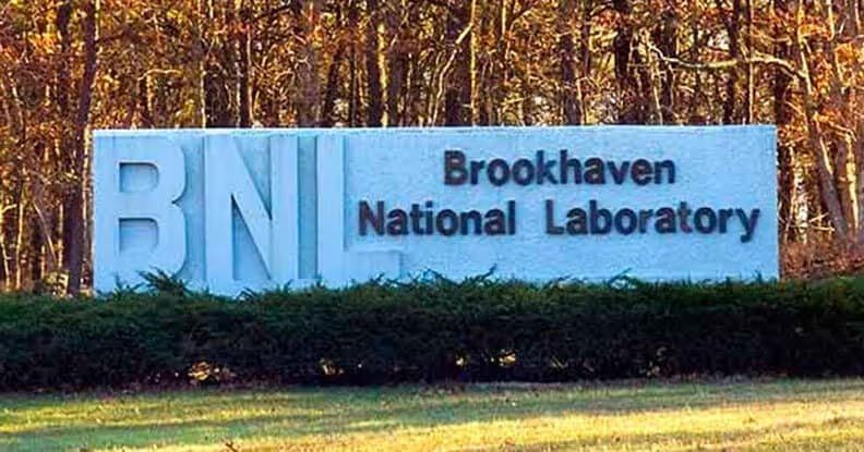 Brookhaven-National-Laboratory|TCE-Effects On Body